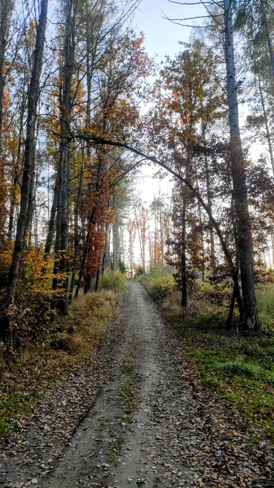 Fotografie z výpravy Zřícenina Zlenice