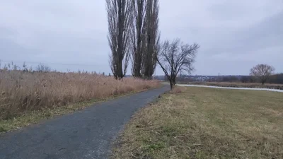 Fotografie z výpravy Lítožnický rybník