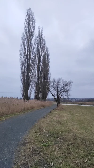 Fotografie z výpravy Lítožnický rybník