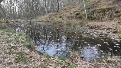 Fotografie z výpravy Skalní útvary Přišimasy